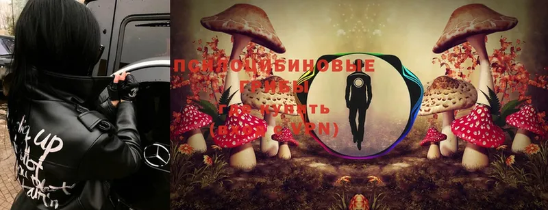 сколько стоит  Владикавказ  Галлюциногенные грибы Magic Shrooms 